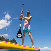 Thumbnail for POP Board Co Loaner Aluminum SUP Paddle (3-piece) length