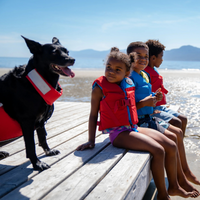Thumbnail for 3 Children in Mustang Survival Child Rev Foam Vest with a Dog