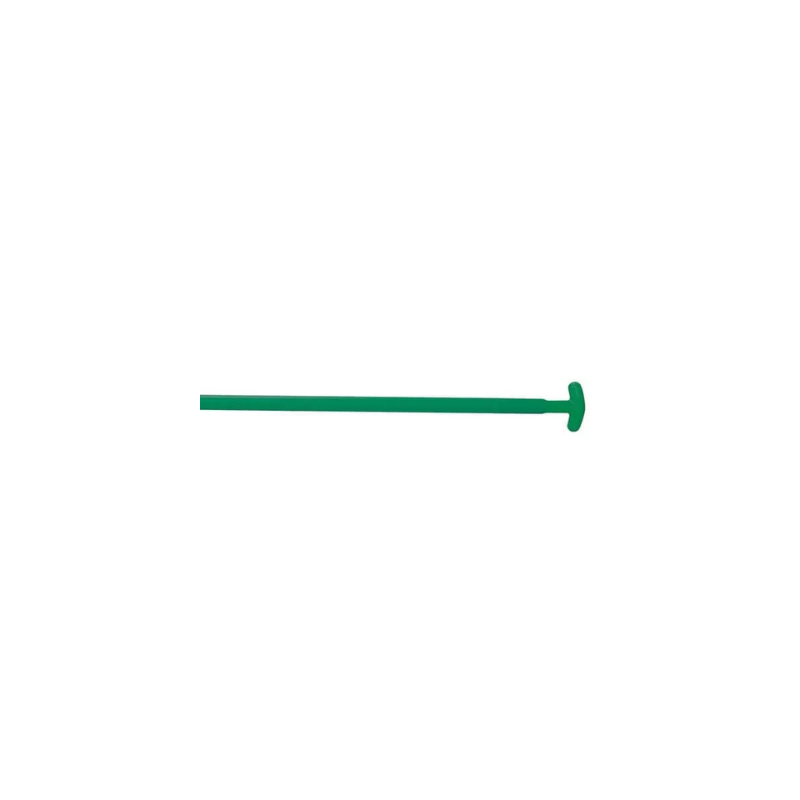 Green Carlisle Standard Canoe Paddle T-grip Handle