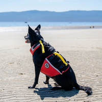Thumbnail for Mustang Survival Underdog Foam Flotation Red/Black