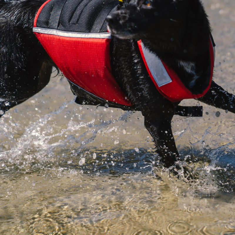 Mustang Survival Underdog reflective dog vest – Red/Black