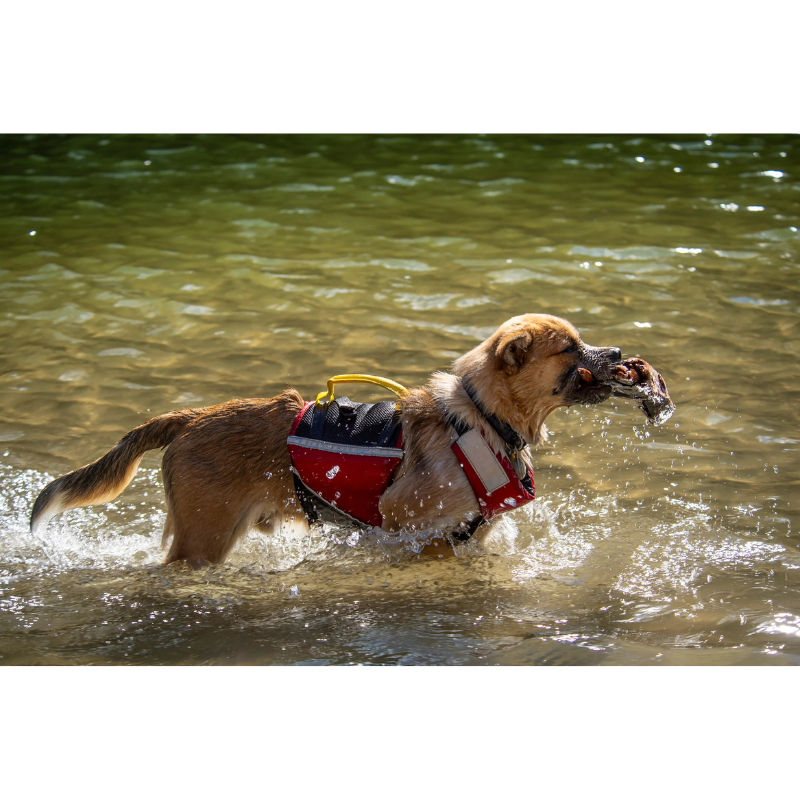 Mustang Survival Underdog Foam PFD Red/Black