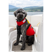 Thumbnail for Mustang Survival Underdog Red/Black reflective dog life Foam vest 