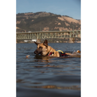 Thumbnail for Mustang Survival Underdog reflective dog life Foam vest Red/Black