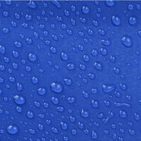 Thumbnail for Water droplets on Seattle Sports H2ZERO Omni Dry Bag - Blue body