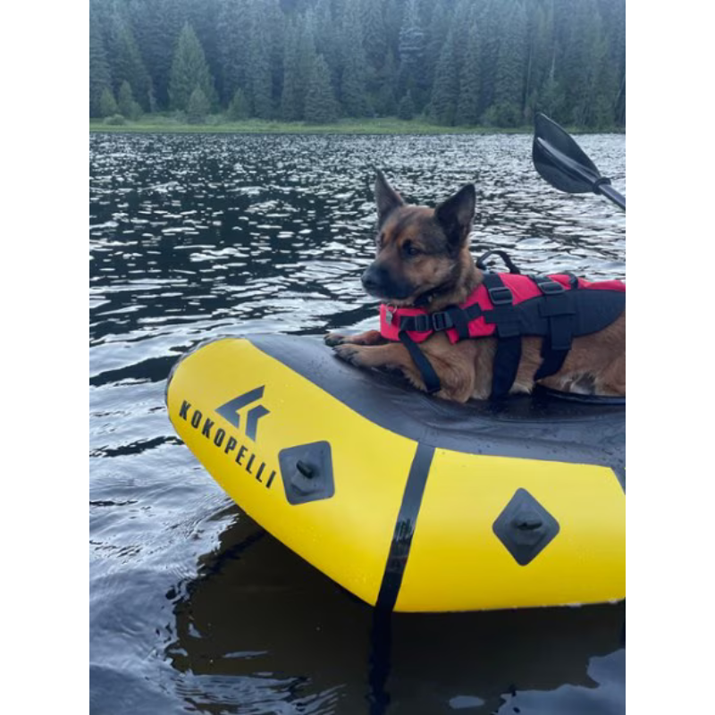 a dog on Kokopelli Rogue R-Deck Packraft w/ TiZip – Yellow