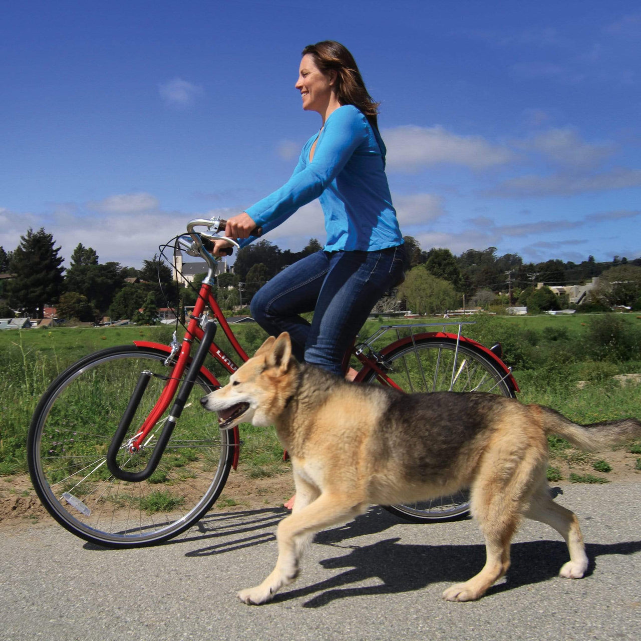 Moved By Bikes Dog Runner - Good Wave