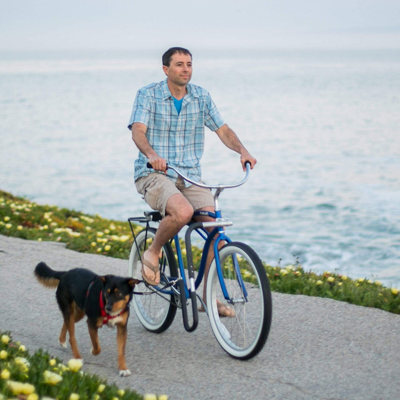 Moved By Bikes Dog Runner - Good Wave