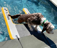 Thumbnail for Solstice Inflatable Pup Plank MINI - Good Wave